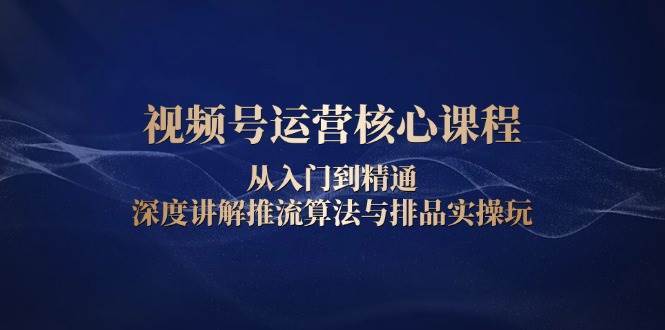 视频号运营核心课程，从入门到精通，深度讲解推流算法与排品实操玩-讯领网创