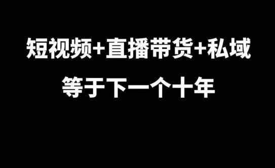 短视频+直播带货+私域等于下一个十年，大佬7年实战经验总结-讯领网创