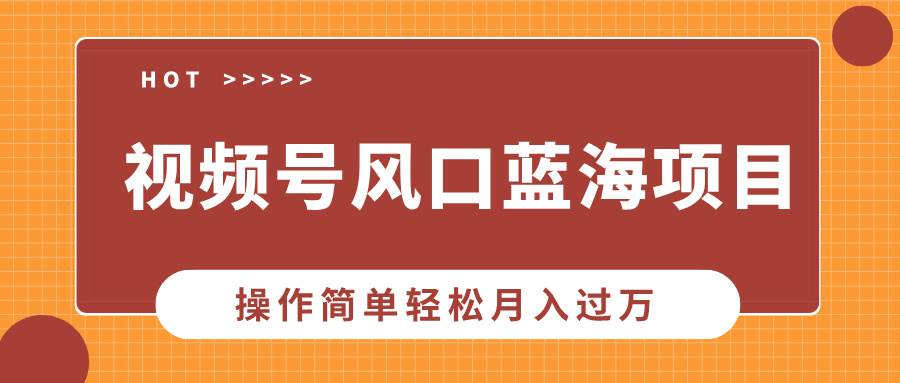 （13945期）视频号风口蓝海项目，中老年人的流量密码，操作简单轻松月入过万-讯领网创