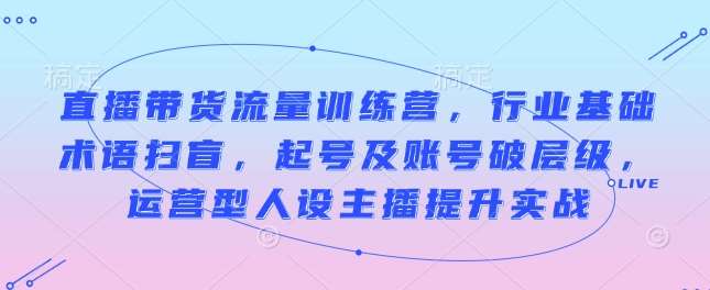 直播带货流量训练营，行业基础术语扫盲，起号及账号破层级，运营型人设主播提升实战-讯领网创