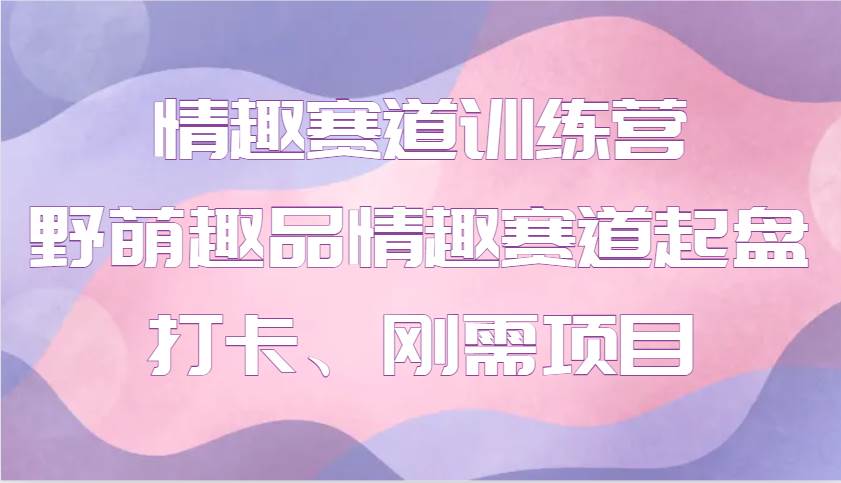 情趣赛道训练营 野萌趣品情趣赛道起盘打卡、刚需项目-讯领网创